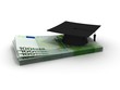 graduation hat with euro money