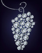 Wild grape made up a lot of diamond on the black background Wild grape made up a lot of diamond on the black background