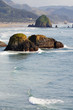 Ecola State Park