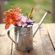 Photo: Gartenblumen in einer Zinkgießkanne Gartenblumen in einer Zinkgießkanne