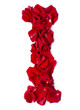 Photo: alphabet I made from red rose alphabet I made from red rose
