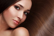 Beautiful Brunette Girl. Healthy Long Hair. High quality image