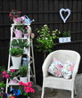 pretty garden area