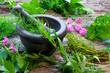Fresh Herbs