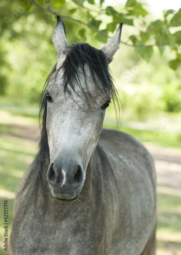 Photo: colt colt