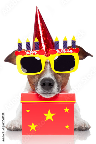 Photo: birthday dog birthday dog