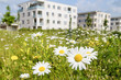 Frühling der Stadt