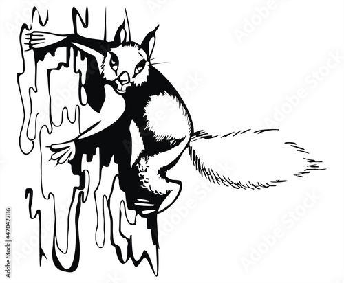 Vector: artistic sketch - squirrel on the tree artistic sketch - squirrel on the tree