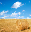 Photo: harvested field with straw bales in summer harvested field with straw bales in summer