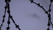barbed wire