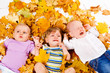 Babies lying on yellow leaves