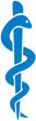 medical symbol caduceus snake with stick