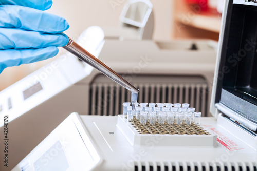 Photo: Loading DNA samples for PCR Loading DNA samples for PCR