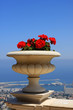 Photo: Flowers in Bahai gardens Flowers in Bahai gardens