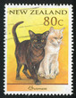 Domestic Cat
