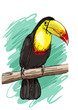 Vector: Toucan Toucan