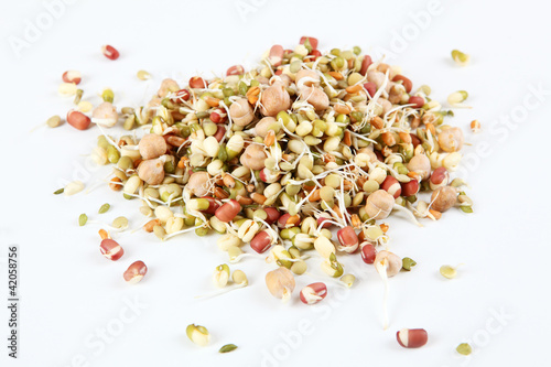 Photo: Sprossen und Keime Sprossen und Keime