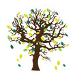 Abstract tree - isolated on white background