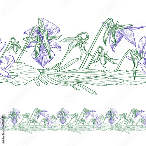 Vektor: Vector seamless decorative border of the wild pansy Vector seamless decorative border of the wild pansy