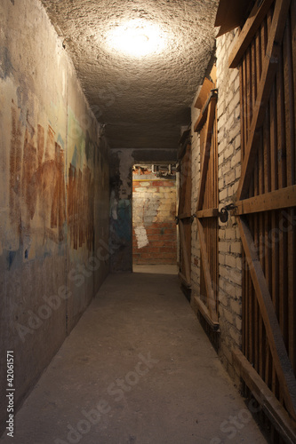 Photo: basement in the dark basement in the dark