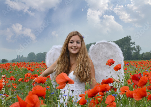 Foto: Angel girl in field of red poppies with white feather wings Angel girl in field of red poppies with white feather wings