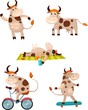 cow set