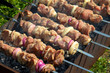 fresh kebab prepares on the fire outdoors