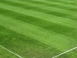 Fussballplatz - Rasen - Spielfeld