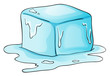 ice