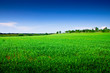 Prairie Costières