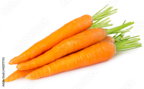 Photo: Fresh carrots Fresh carrots