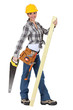 Woman carpenter