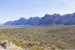 View Of Mojave Desert.