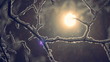 winter snow background