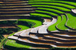 Terraced rice fields