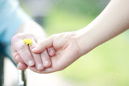 Foto: Young and senior women holding hands Young and senior women holding hands