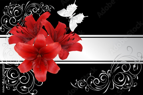Foto: red lily and silver butterfly red lily and silver butterfly