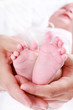 Photo: Newborn Newborn