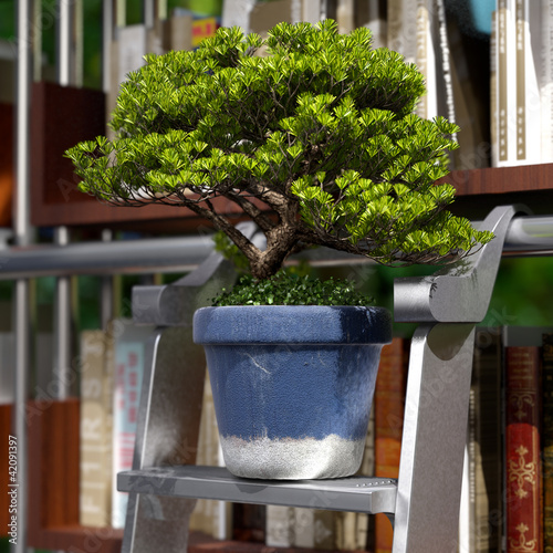 Photo: bonsai in a library 3d rendering bonsai in a library 3d rendering