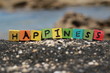 The word Happiness written on wood cubes, at the beach