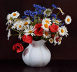 Foto: Feldblumen Feldblumen