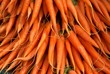 Foto: Frische Möhren Frische Möhren