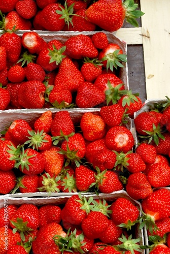 Foto: Erbeeren in Schalen Erbeeren in Schalen