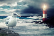 Foto: Seagull Seagull