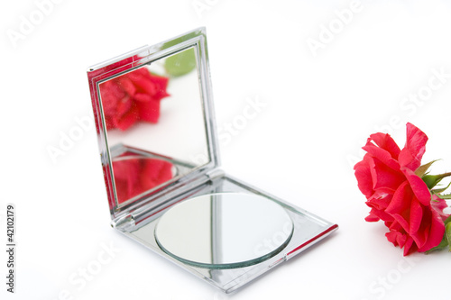Photo: Reflection of rose Reflection of rose