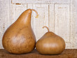 Two amish gourds sitting on wood plank