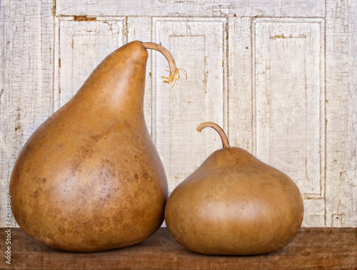 Photo: Two amish gourds sitting on wood plank Two amish gourds sitting on wood plank