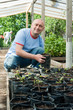 farmer  with a pot of seedlings