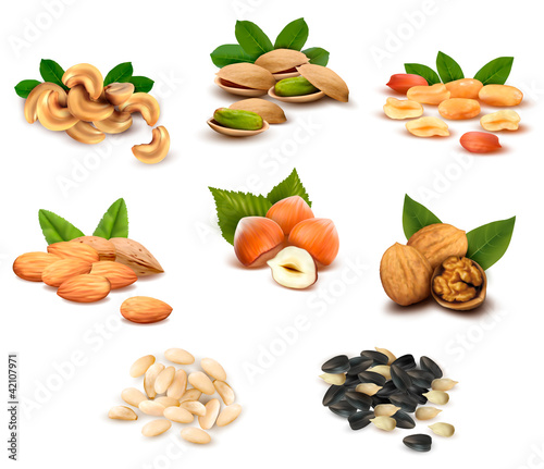 Vector: Big collection of ripe nuts and seeds. Vector. Big collection of ripe nuts and seeds. Vector.