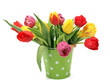 Tulips in the bucket